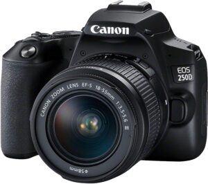最佳预算选项 佳能EOS 250D